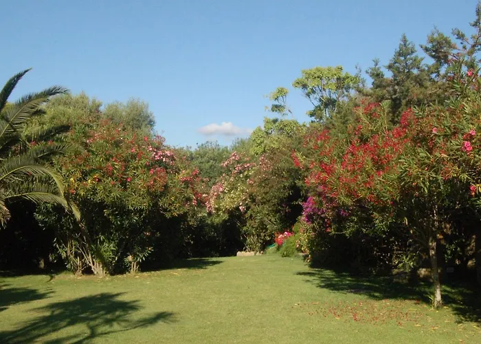 Villa Charming In Olbia With Shared Pool And Garden Porto Rotondo