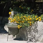 Vila Charming In Olbia With Shared Pool And Garden