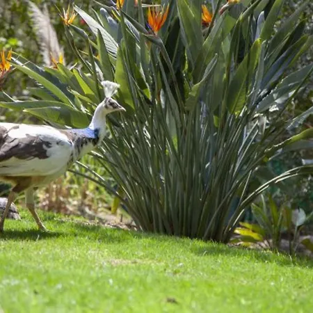 Charming In Olbia With Shared Pool And Garden Villa