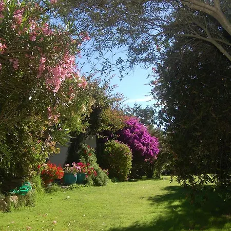 Charming In Olbia With Shared Pool And Garden Porto Rotondo