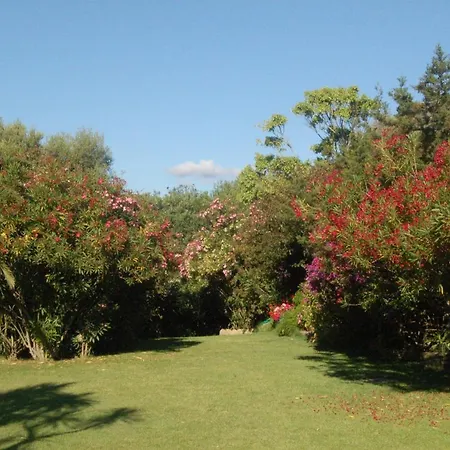 Villa Charming In Olbia With Shared Pool And Garden Porto Rotondo