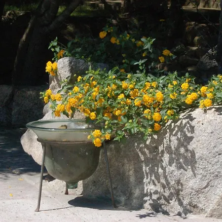 Villa Charming In Olbia With Shared Pool And Garden