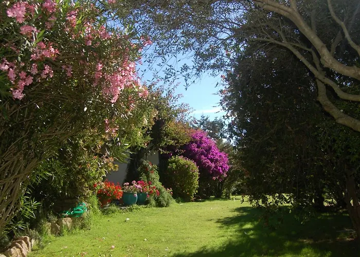 Charming In Olbia With Shared Pool And Garden Porto Rotondo