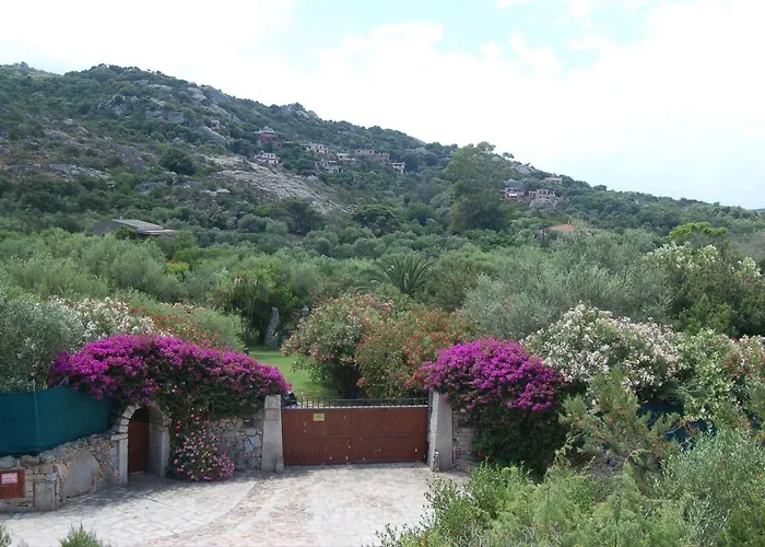 Charming In Olbia With Shared Pool And Garden * Porto Rotondo