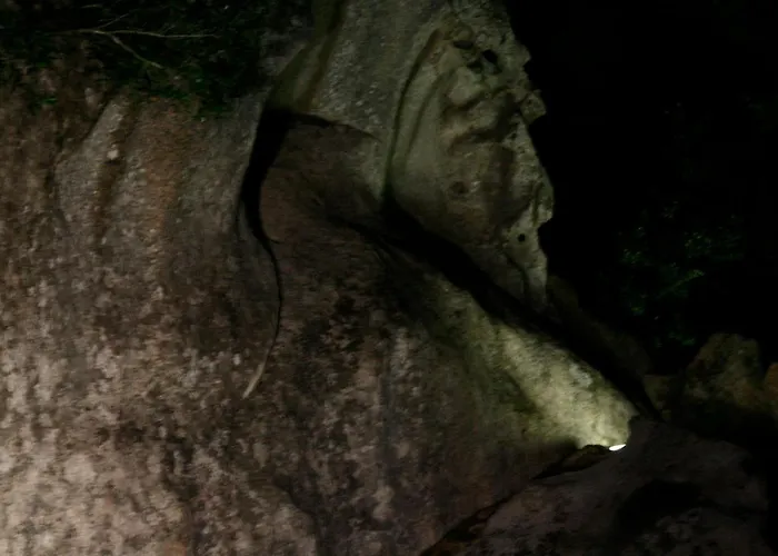 Villa Charming In Olbia With Shared Pool And Garden Porto Rotondo